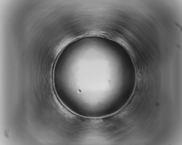 X0000101181055200807071240