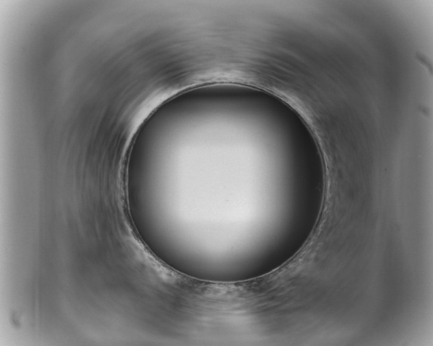 X0000101181056200807071240