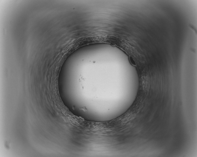 X0000101181057200807071240