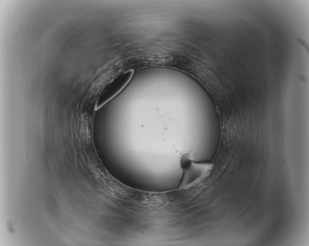 X0000101181058200807071240