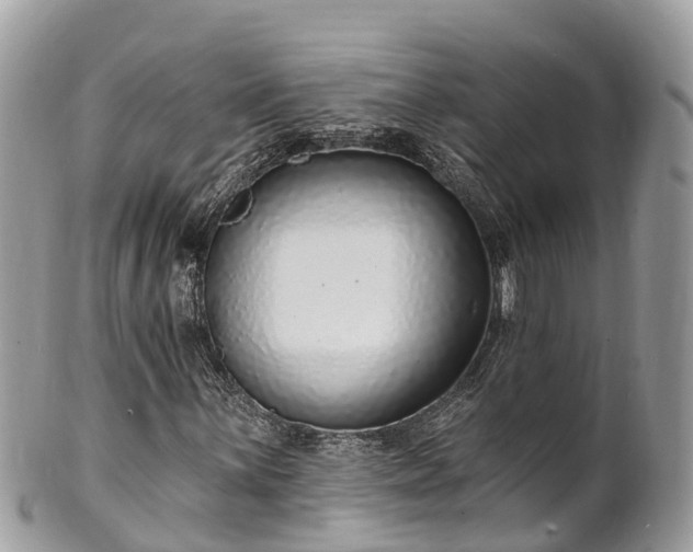 X0000101181059200807071239