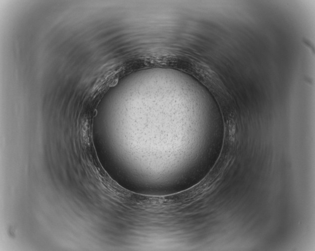 X0000101181060200807071239
