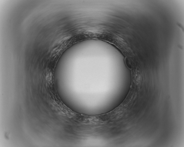 X0000101181061200807071239
