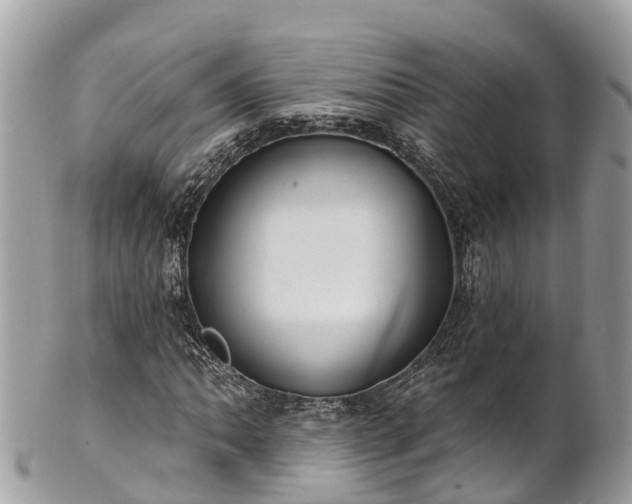 X0000101181062200807071239