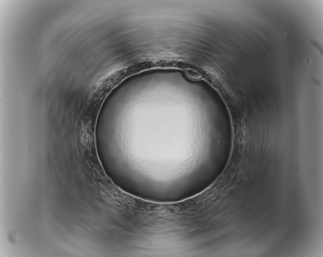 X0000101181063200807071239