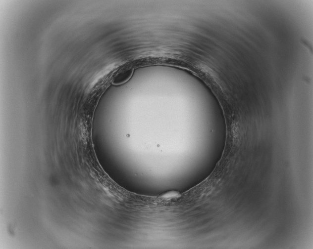 X0000101181064200807071239