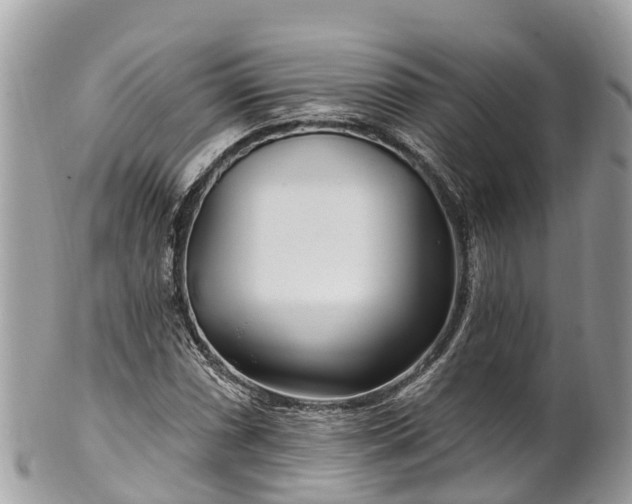 X0000101181066200807071239