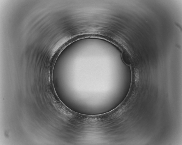 X0000101181069200807071239