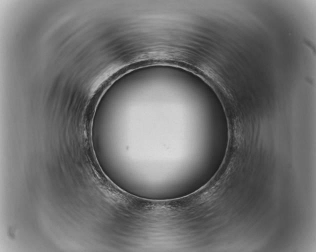 X0000101181070200807071239