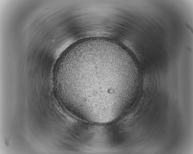 X0000101181071200807071239
