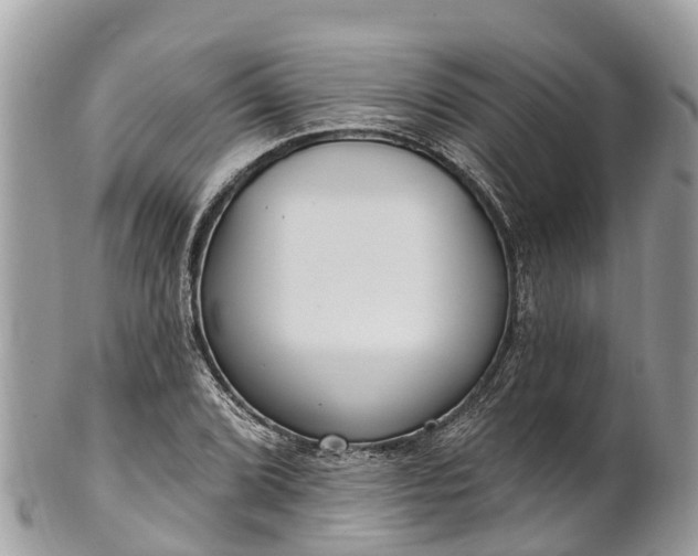 X0000101181072200807071239
