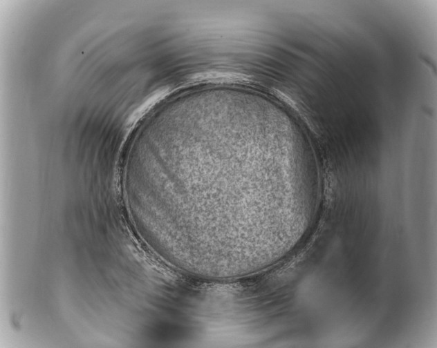 X0000101181074200807071239
