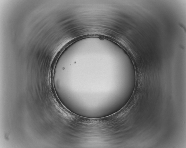 X0000101181076200807071239