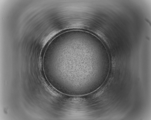 X0000101181077200807071239