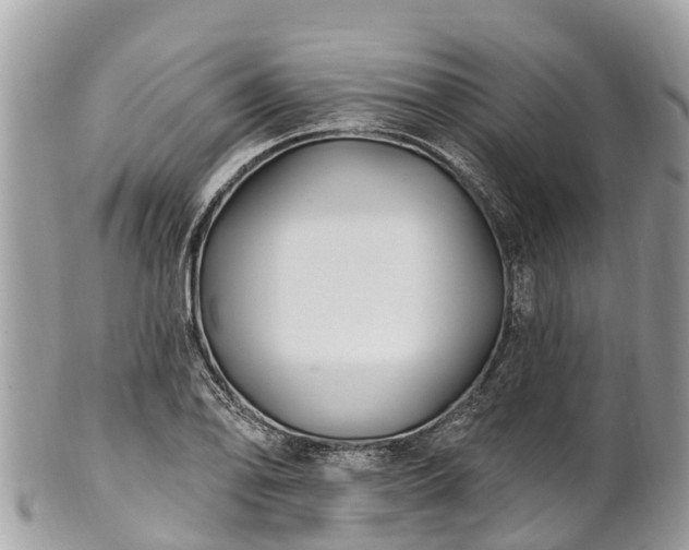 X0000101181078200807071239