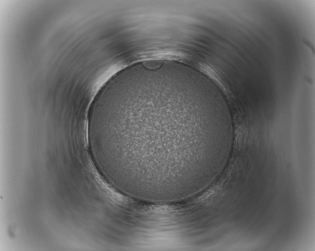 X0000101181079200807071239