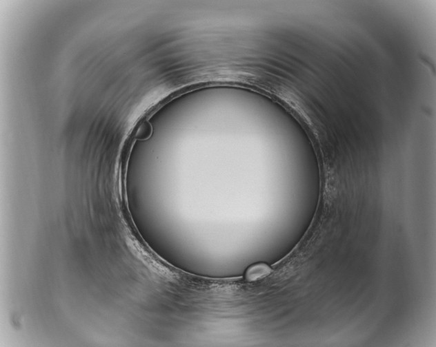 X0000101181080200807071239