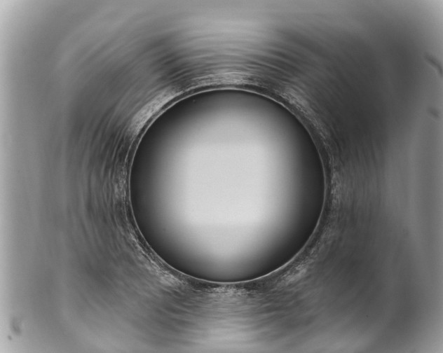 X0000101181081200807071239