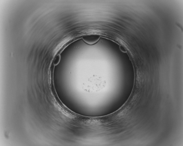 X0000101181082200807071239