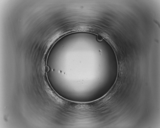 X0000101181083200807071239