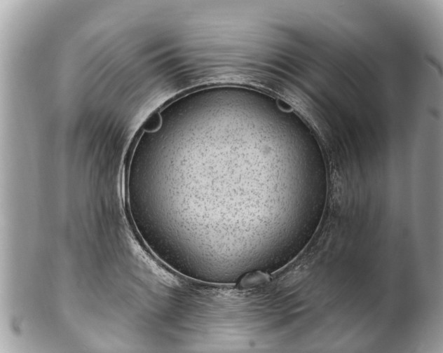 X0000101181084200807071239
