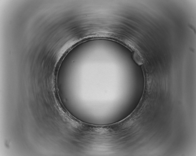 X0000101181085200807071239