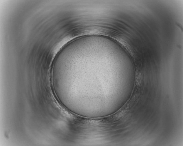 X0000101181086200807071239