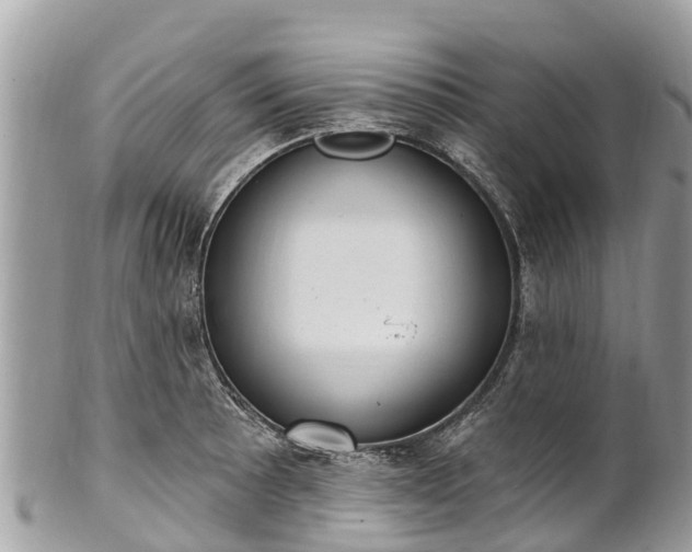 X0000101181089200807071239