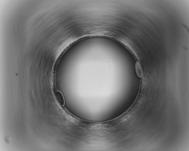X0000101181093200807071239