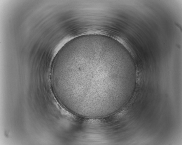 X0000101181094200807071239