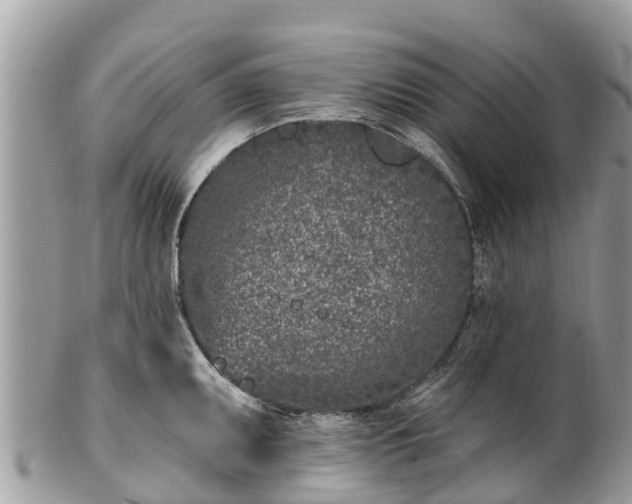 X0000101181095200807071239