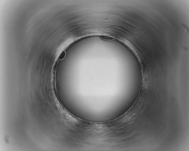 X0000101181096200807071239