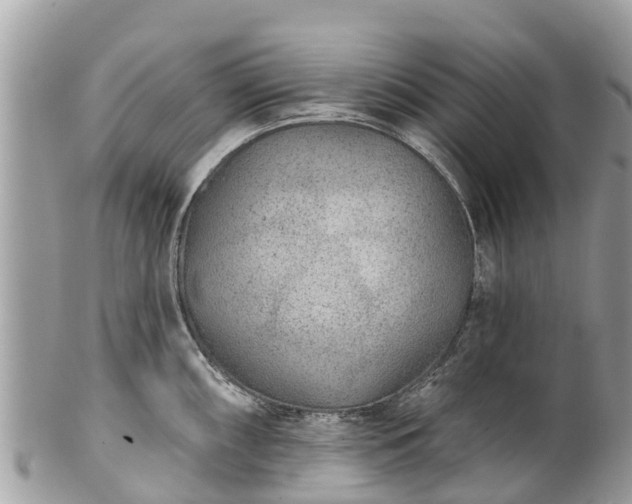 X0000101181098200807071239