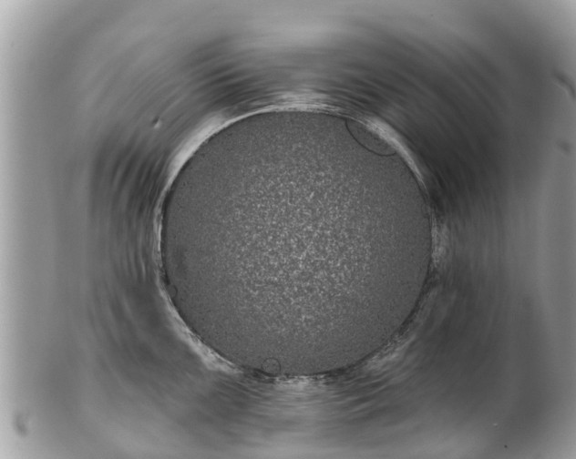 X0000101181099200807071239