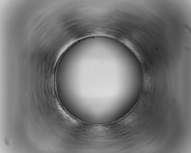 X0000101181100200807071239