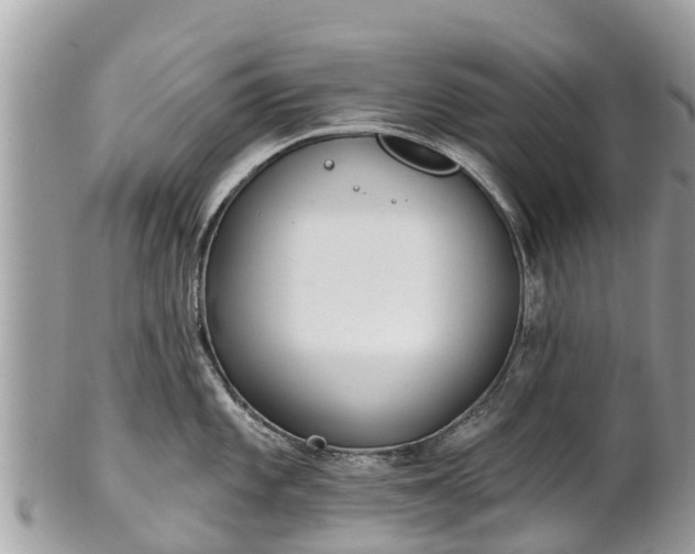 X0000101181101200807071239