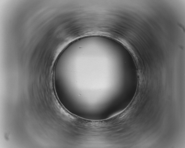X0000101181102200807071239