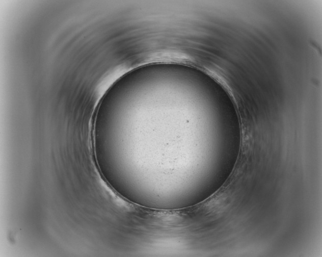 X0000101181103200807071239