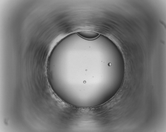 X0000101181104200807071239