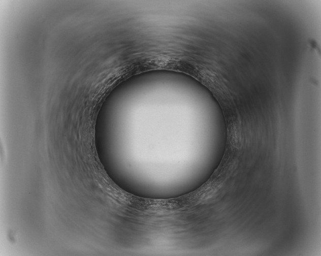 X0000101181105200807071238