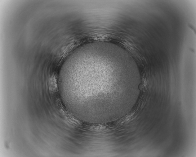 X0000101181106200807071238