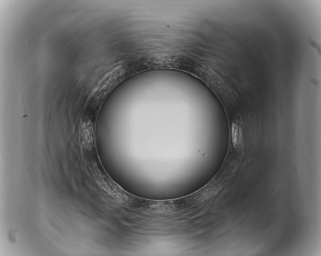 X0000101181107200807071238