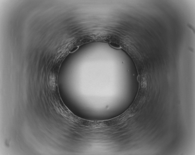 X0000101181108200807071238