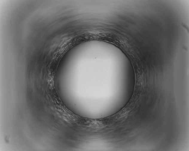 X0000101181109200807071238