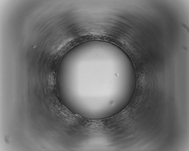 X0000101181110200807071238