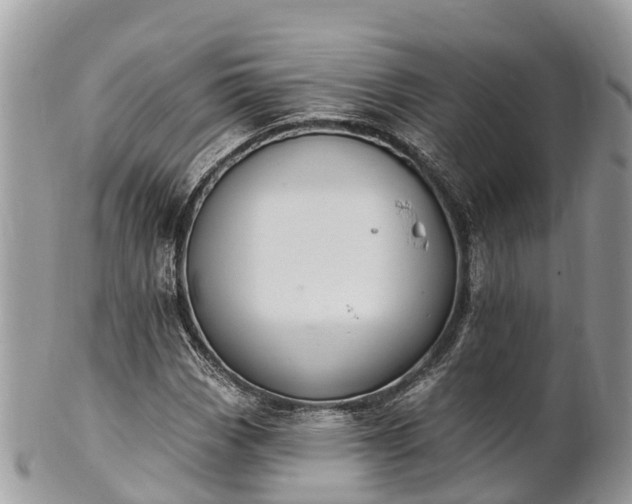 X0000101181113200807071238