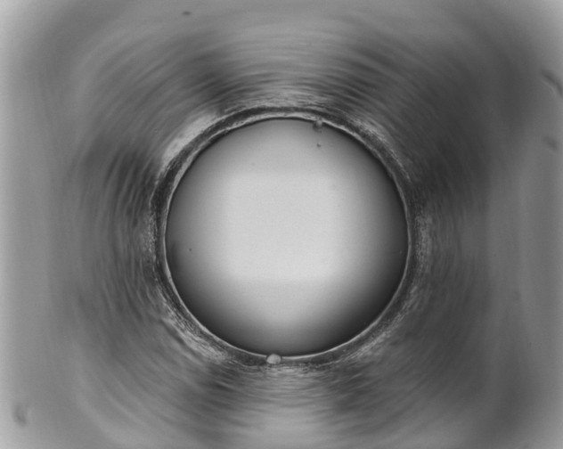 X0000101181114200807071238
