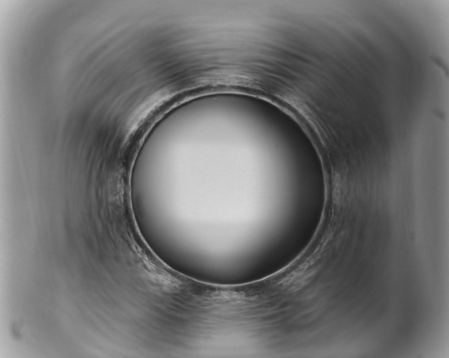 X0000101181115200807071238