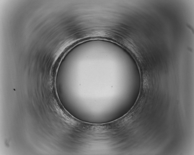 X0000101181116200807071238