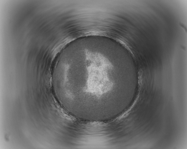 X0000101181117200807071238
